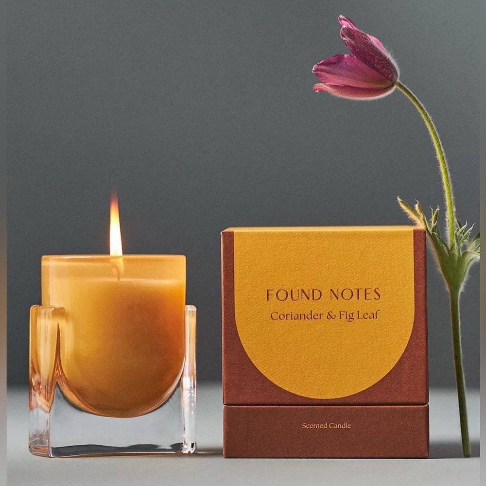 NIB Anthropologie Found Notes Fresh Coriander & Fig Leaf Boxed Candle